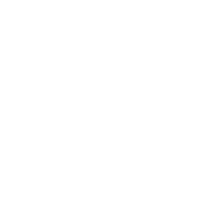 Free Plan Icon